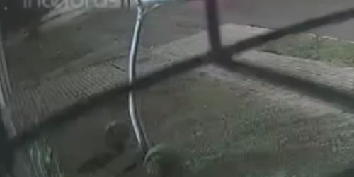 Foto: O autor dos disparos está foragido. (Reprodução/Câmeras de segurança)