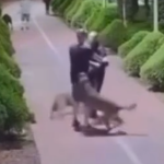homem-presencia-agressao-a-cachorro-e-confronta-ra006608590202607111204.png