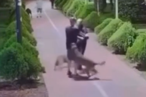 homem-presencia-agressao-a-cachorro-e-confronta-ra006608590202607111204.png