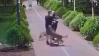 homem-presencia-agressao-a-cachorro-e-confronta-ra006608590202607111204.png