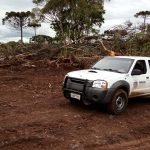 Foto: Governo do Paraná