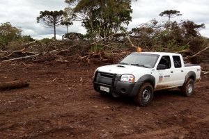 Foto: Governo do Paraná