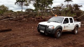 Foto: Governo do Paraná