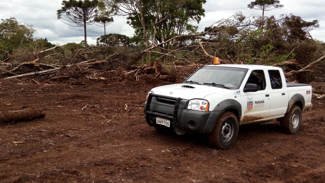 Foto: Governo do Paraná