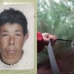 Idosa desaparecida mora próximo a uma área de mata em Guarapuava — Foto: Idosa d