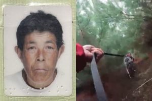 Idosa desaparecida mora próximo a uma área de mata em Guarapuava — Foto: Idosa d