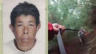 Idosa desaparecida mora próximo a uma área de mata em Guarapuava — Foto: Idosa d