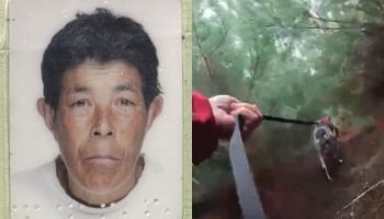 Idosa desaparecida mora próximo a uma área de mata em Guarapuava — Foto: Idosa d