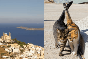 ilha-grecia-hospedagem-gratis-960x592-1