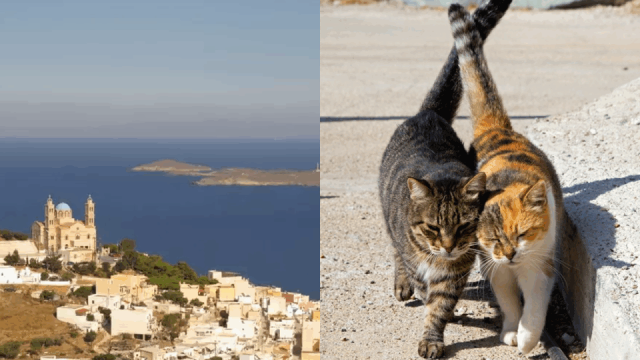 ilha-grecia-hospedagem-gratis-960x592-1