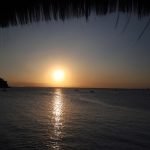 Foto: Governo do Paraná