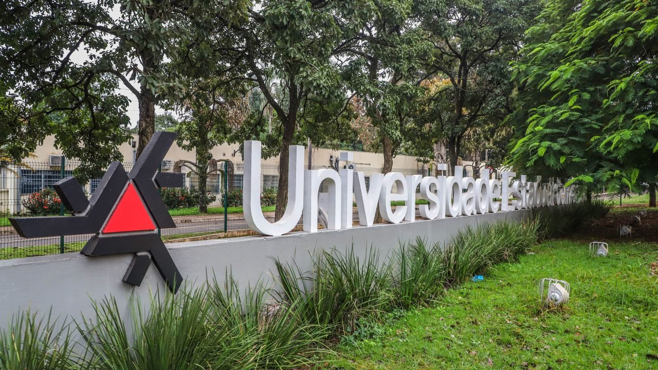 Foto: Governo do Paraná