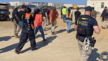 imagem-jvp-2025-09-06t141527.272