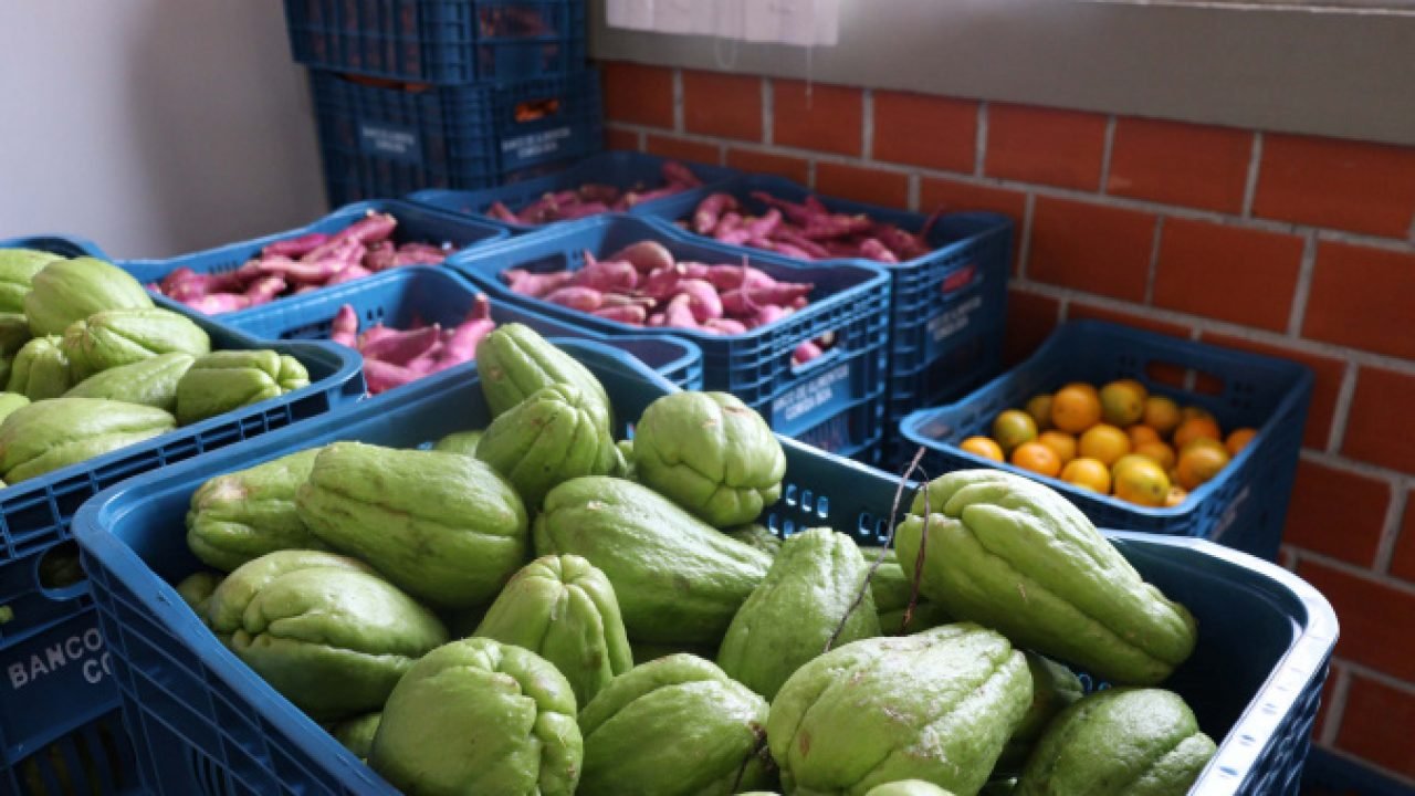 Foto: Governo do Paraná