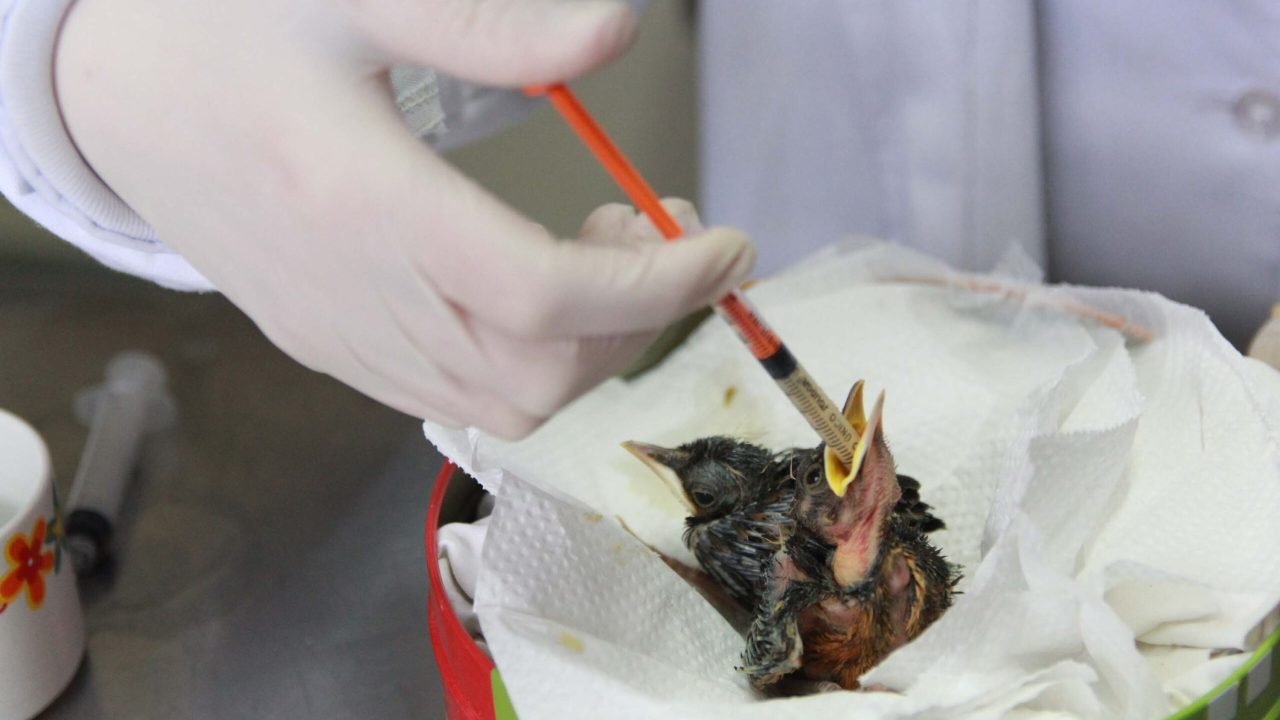 Foto: Governo do Paraná