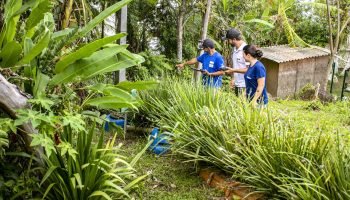 Foto: Governo do Paraná
