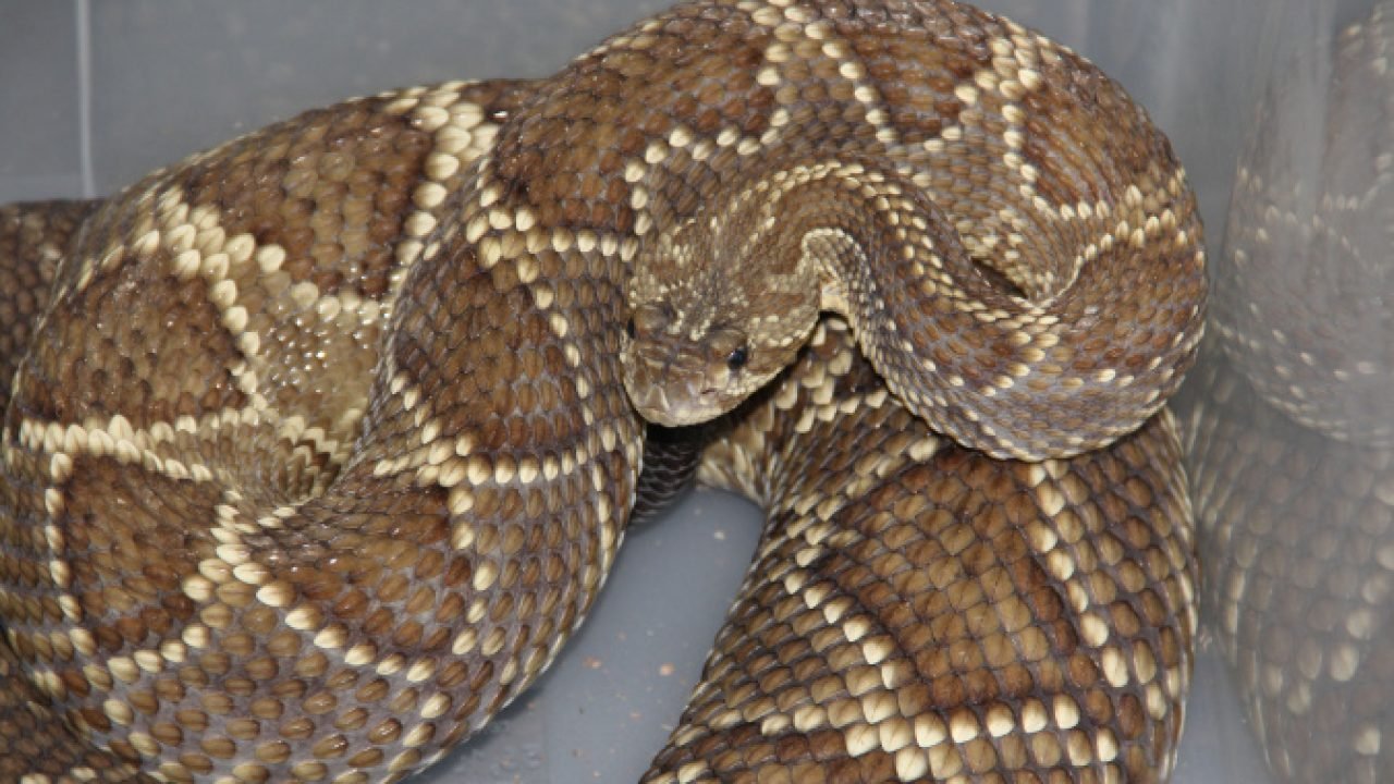 Foto: Governo do Paraná