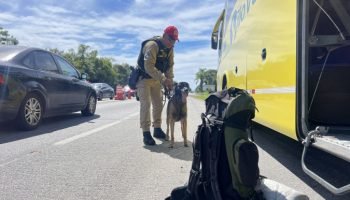 Foto: Governo do Paraná