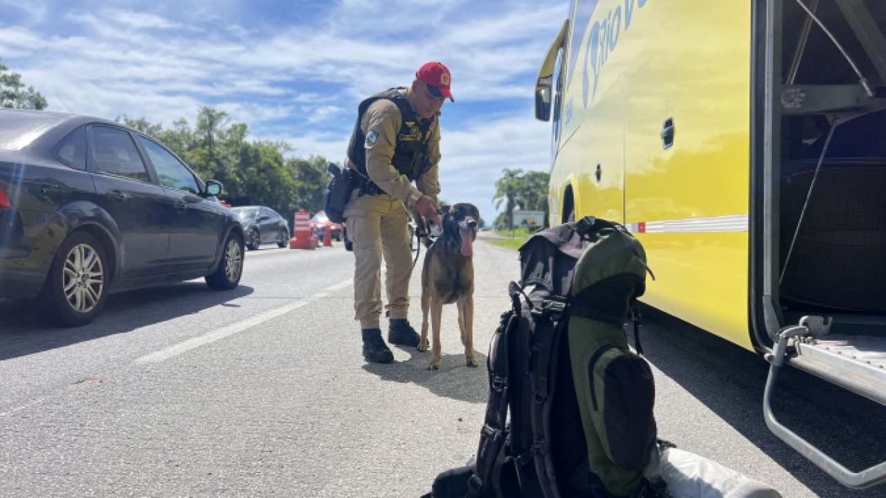 Foto: Governo do Paraná