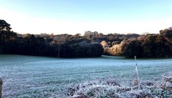 Imagem ilustrativa — Foto: Governo do Paraná