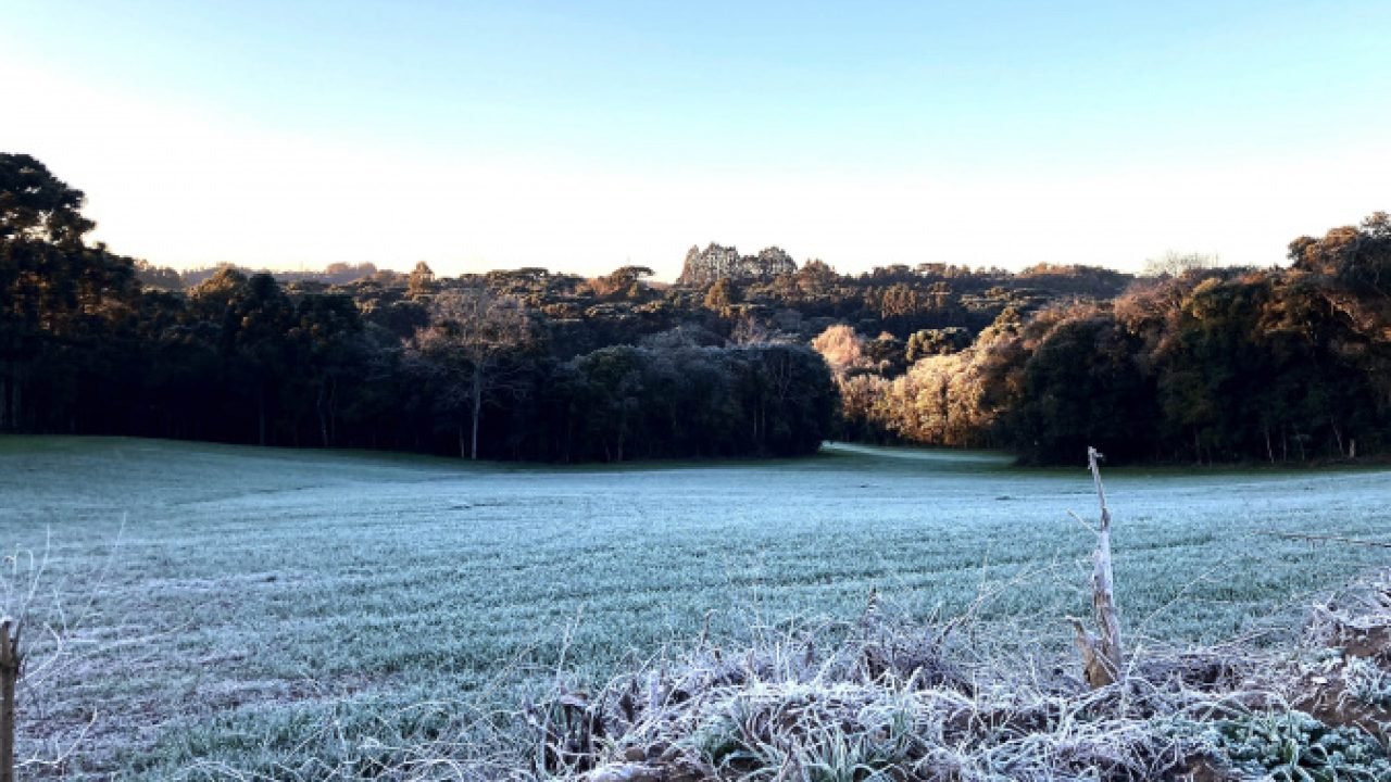 Imagem ilustrativa — Foto: Governo do Paraná