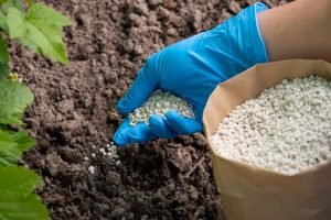 importacao-de-fertilizantes-deve-cair-ate-12-mesmo006733600202609231514.jpg