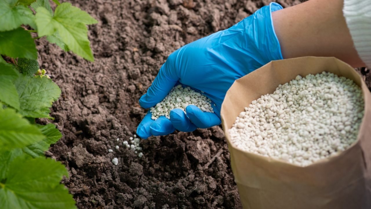 importacao-de-fertilizantes-deve-cair-ate-12-mesmo006733600202609231514.jpg