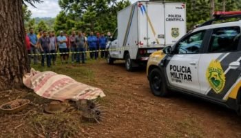 Terra Indígena Ivaí - Foto: Divulgação
