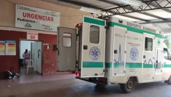 infestacao-de-pulgas-fecha-ala-neonatal-e-obriga-transferencia-de-bebes-em-cde-6a9642b2421ab