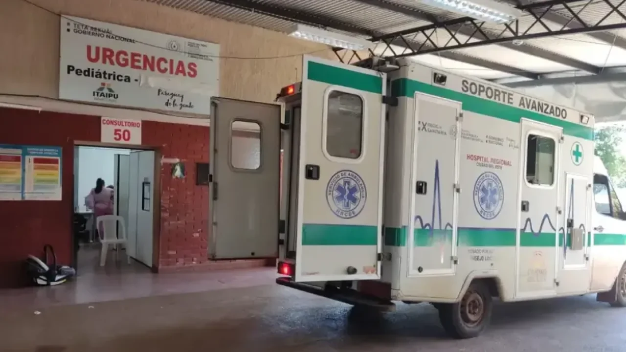 infestacao-de-pulgas-fecha-ala-neonatal-e-obriga-transferencia-de-bebes-em-cde-6a9642b2421ab