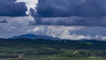 Foto: Foto: Roberto Dziura Jr/AEN