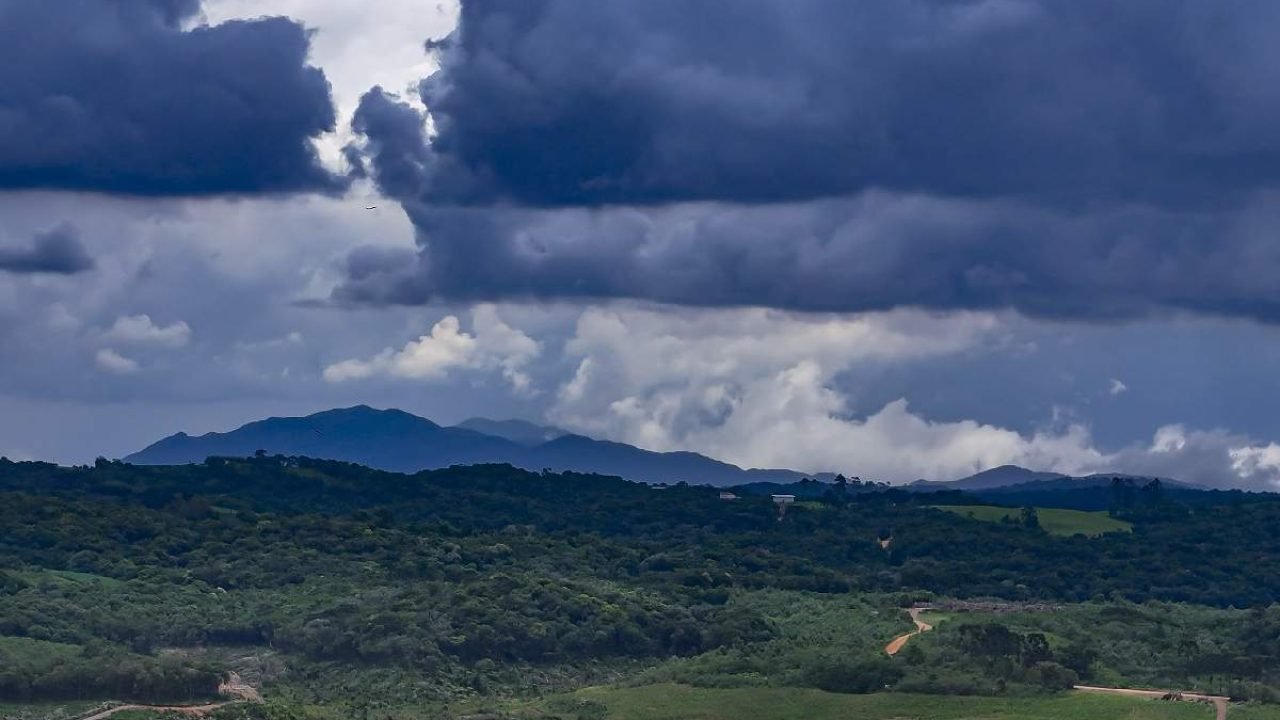 Foto: Foto: Roberto Dziura Jr/AEN