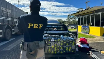Ao todo, foram apreendidos 259 aparelhos celulares (Foto: Divulgação/PRF)