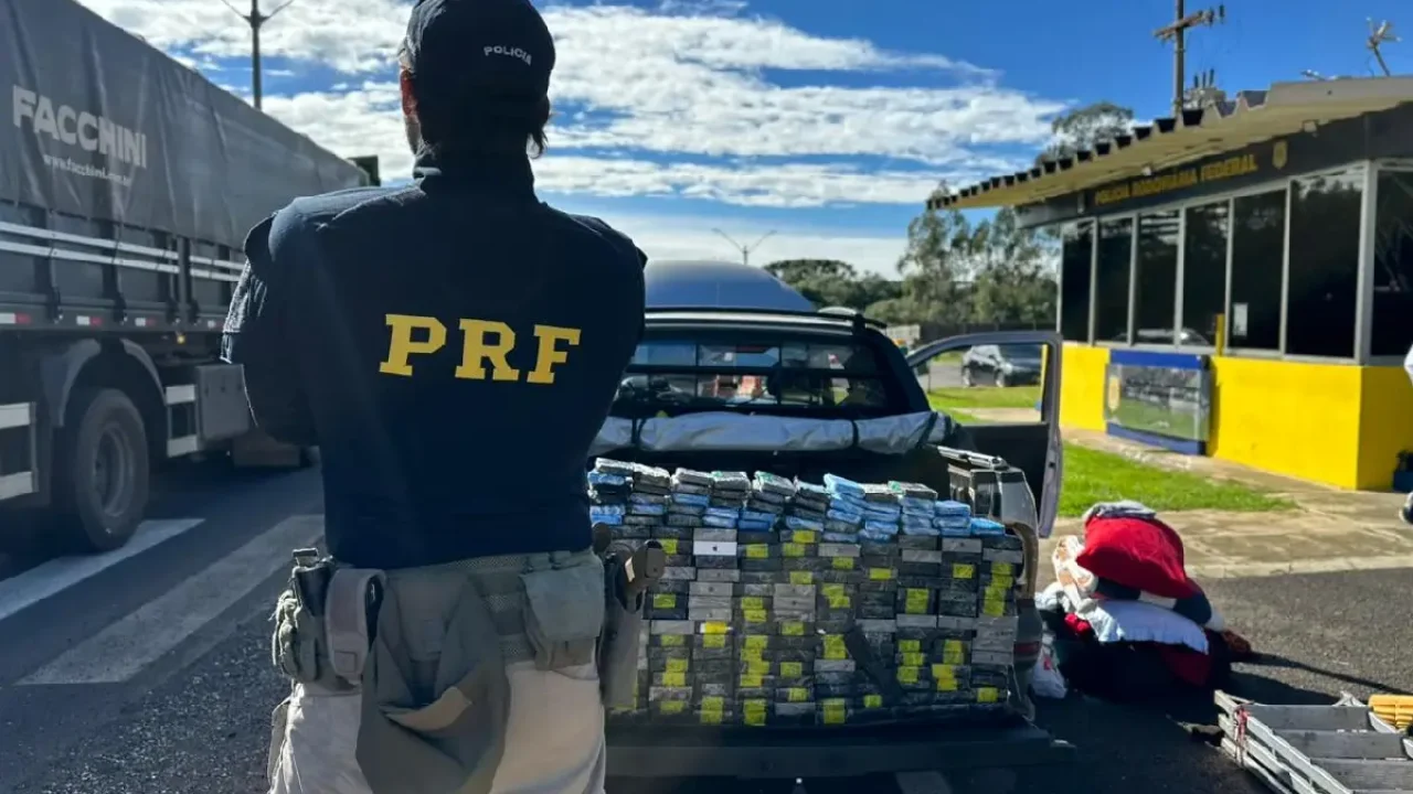 Ao todo, foram apreendidos 259 aparelhos celulares (Foto: Divulgação/PRF)