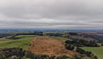 Foto: Governo do Paraná