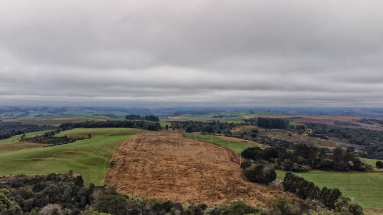 Foto: Governo do Paraná