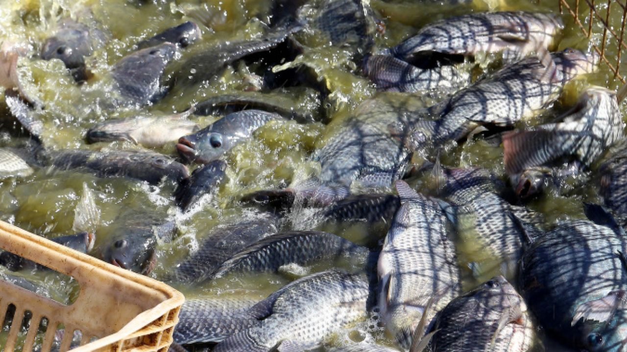Foto: Governo do Paraná