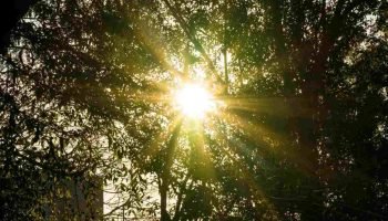 Janeiro Branco — Foto: H2FOZ