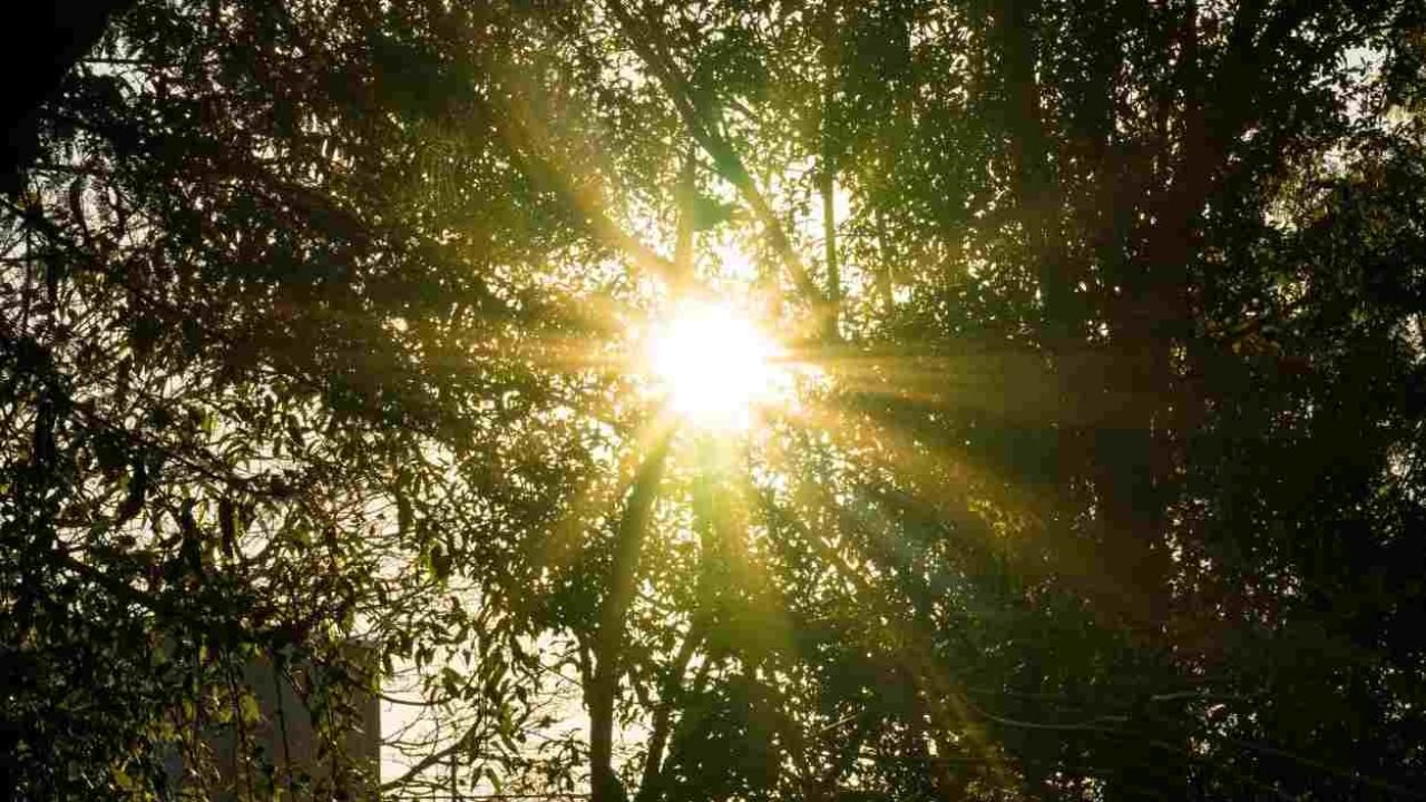 Janeiro Branco — Foto: H2FOZ