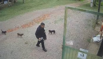 Jovem desaparecido no Pico Paraná chega andando a fazenda — Foto: Foto: reproduç