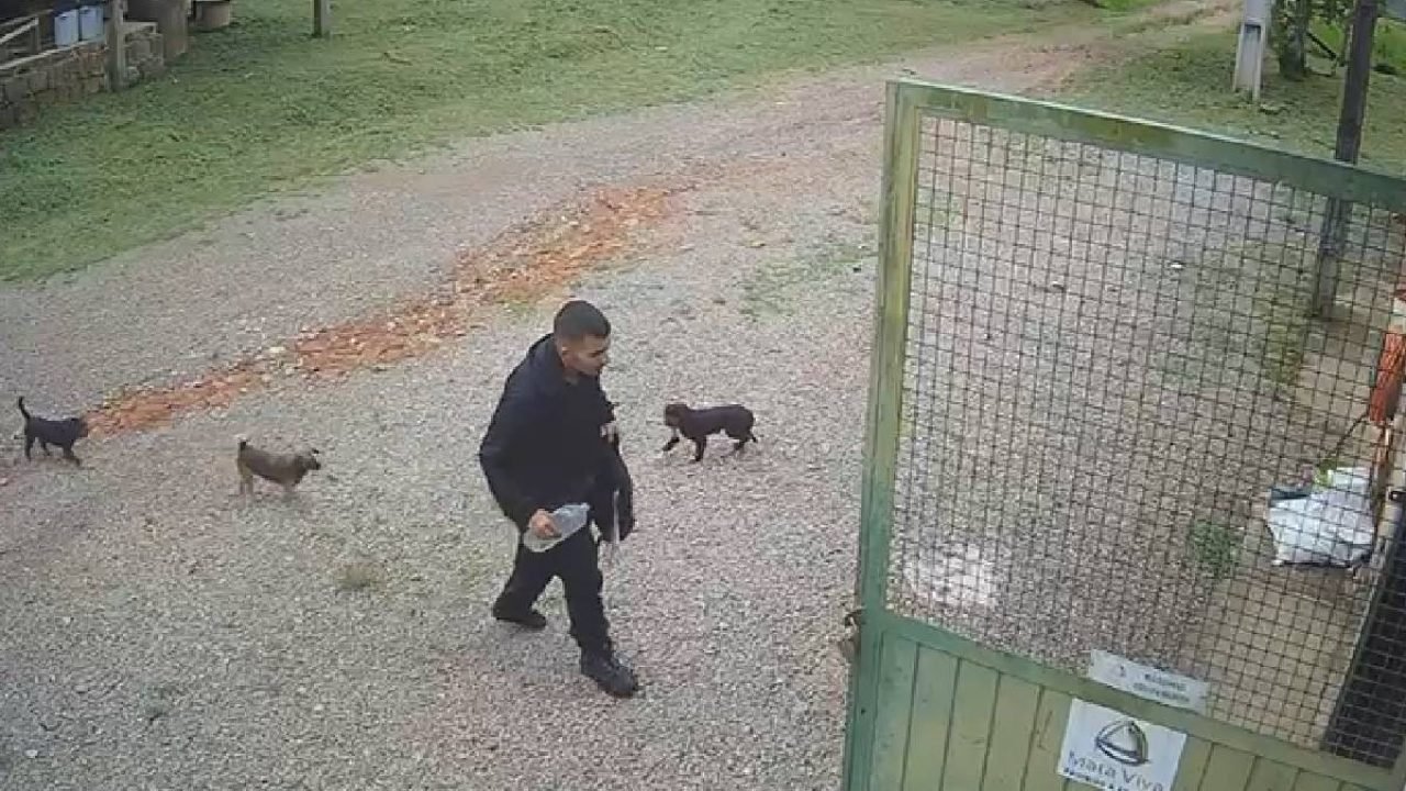 Jovem desaparecido no Pico Paraná chega andando a fazenda — Foto: Foto: reproduç