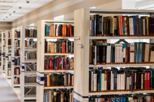 library-488690006624860202607221407.webp.webp