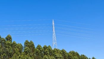 Governo do Paraná — Foto: Governo do Paraná