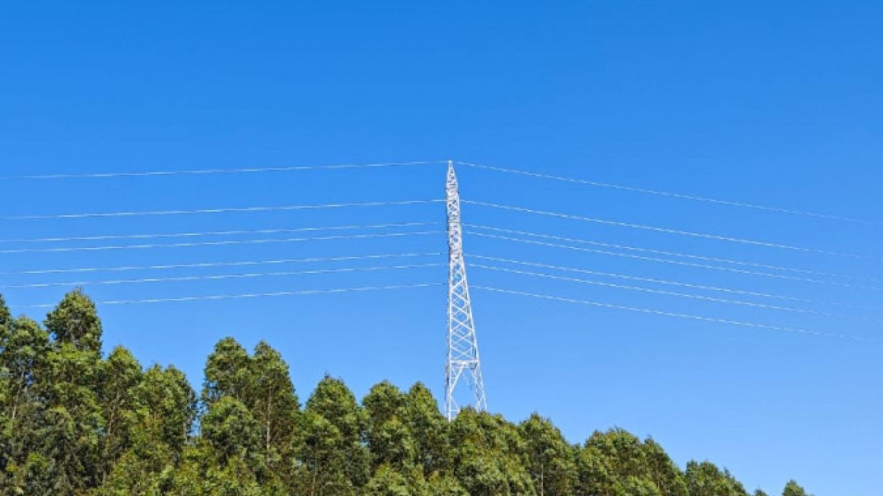 Governo do Paraná — Foto: Governo do Paraná