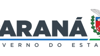 Estudantes do Paraná embarcam para intercâmbio na Irlanda — Foto: Governo do Par