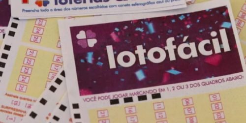 Foto: Foto: Reprodução/Adobe Stock