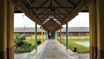 Novos diretores da rede estadual tomam posse — Foto: Governo do Paraná