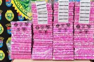 maconha-embalagem-pink006736330202609241755.png