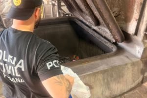 maconha-representa-quase-99-das-177-toneladas-incineradas-pela-policia-civil-6a905a5052a96