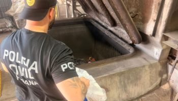 maconha-representa-quase-99-das-177-toneladas-incineradas-pela-policia-civil-6a905a5052a96
